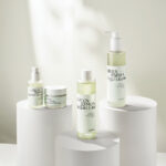 CHLORO グリーン オクラ アミノ5 クリーム - 画像 (6)